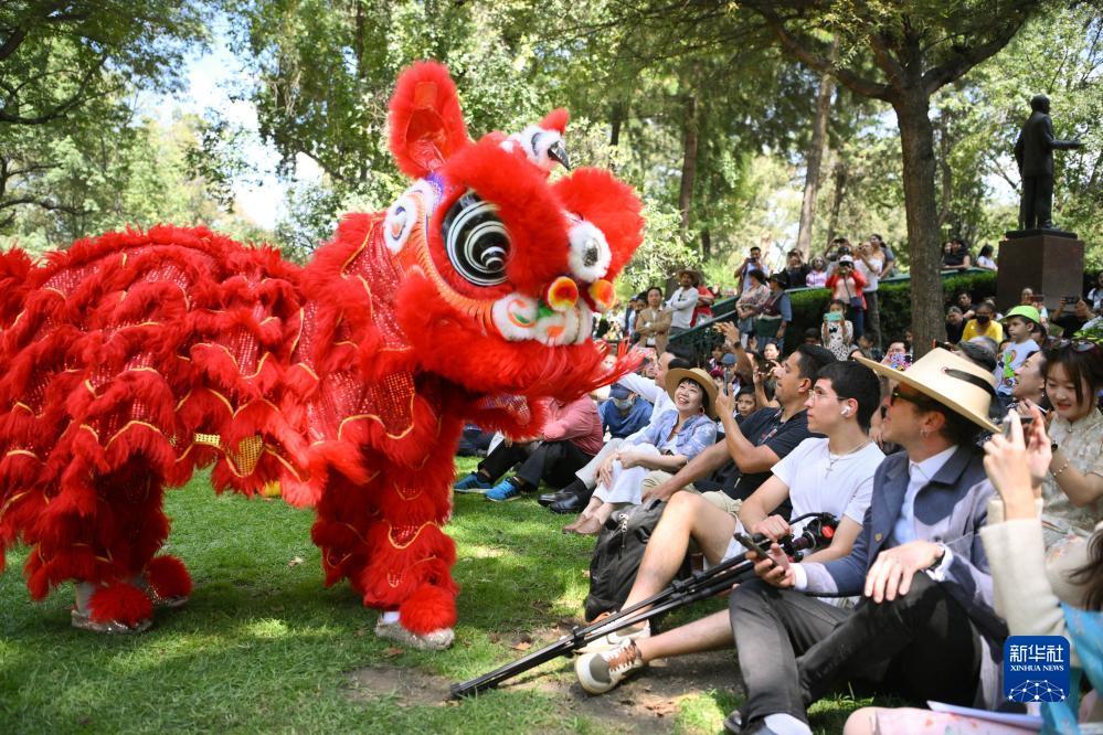 博乐互娱玩家